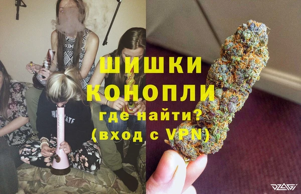 дурь Арсеньев