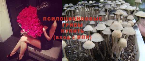 дурь Арсеньев