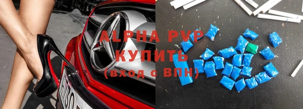 прущие грибы Сафоново