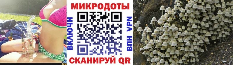 Псилоцибиновые грибы Cubensis Буй